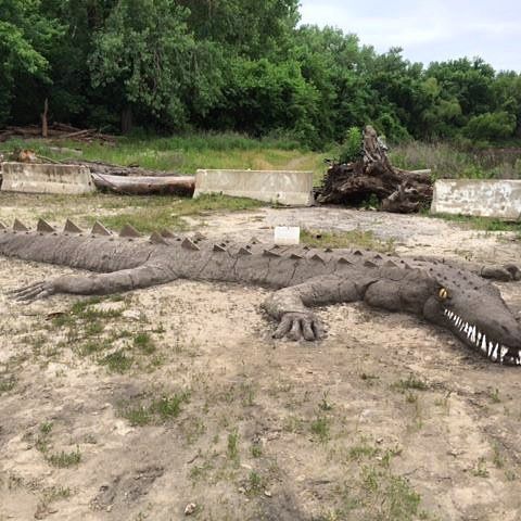 {Throwback Thursday} #MudAlligator in #KCParks Riverfront Park circa June 2015. There is a #MudLion there now. #TBT #throwbackthursday